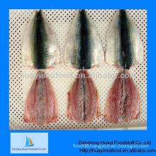 frozen mackerel fillets